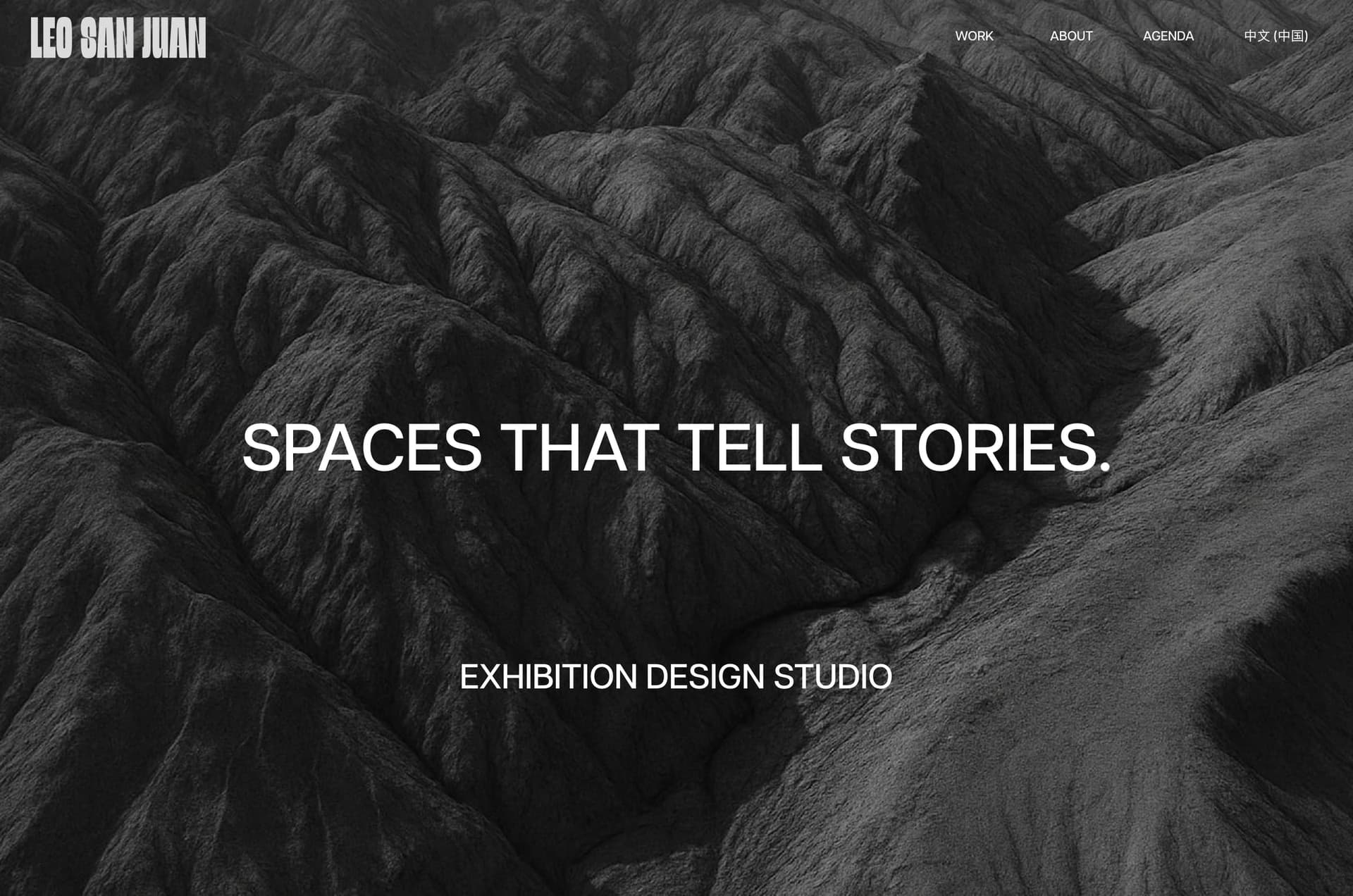 Leo San Juan — Full portfolio