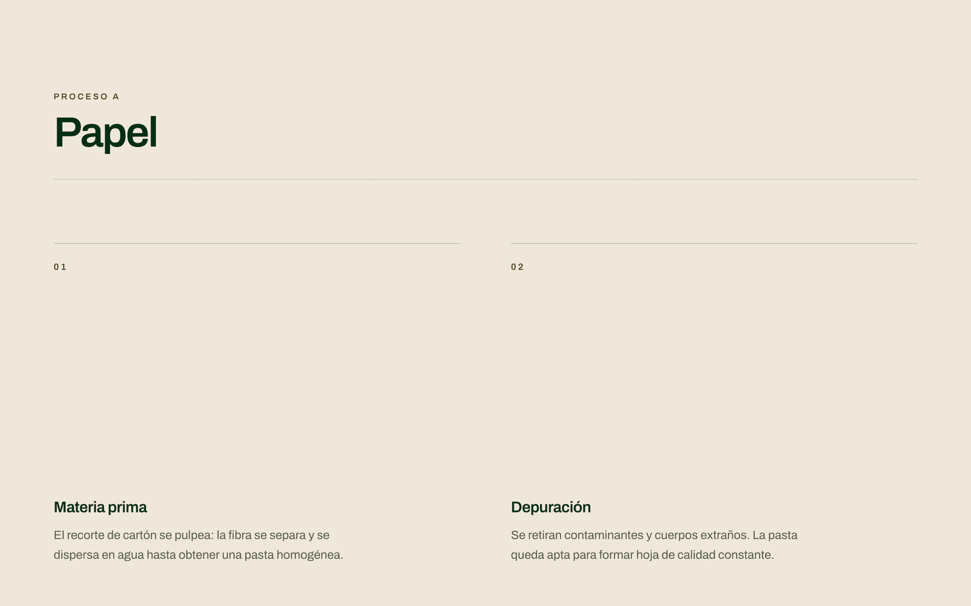 Rainap: Paper process